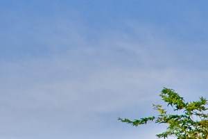 Photos and Video of Stonesthrow Apartments in Tualatin, OR